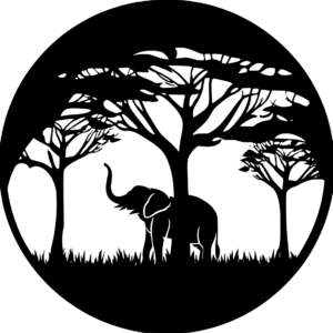 Nature / animaux