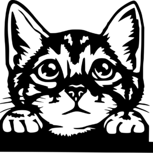 Chat1